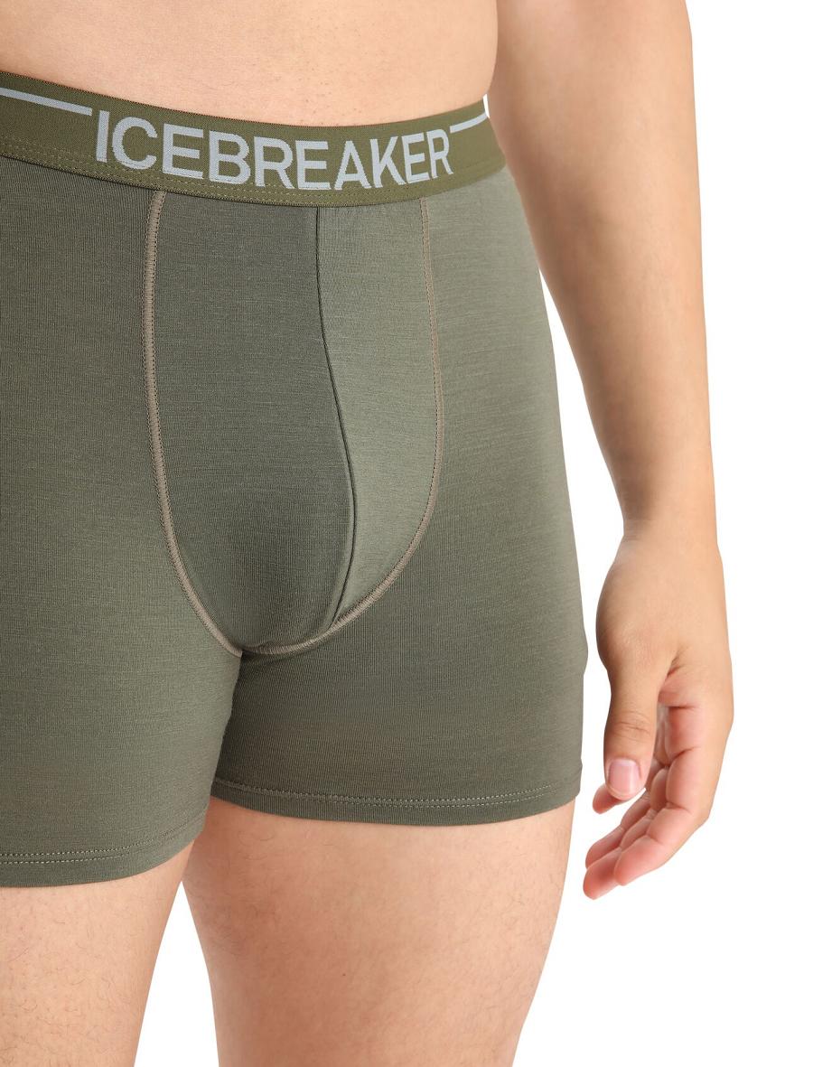 Men's Icebreaker Merino Anatomica Boxers Underwear Loden | CA 1634ZUTG